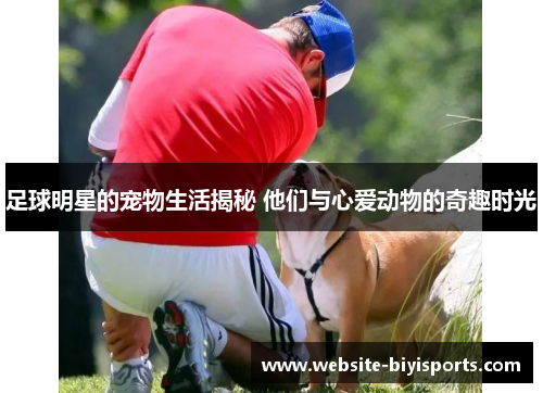 足球明星的宠物生活揭秘 他们与心爱动物的奇趣时光